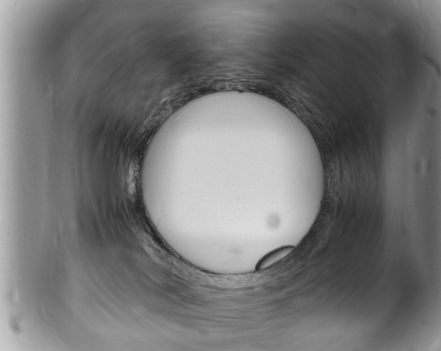 X0000100480038200806130742