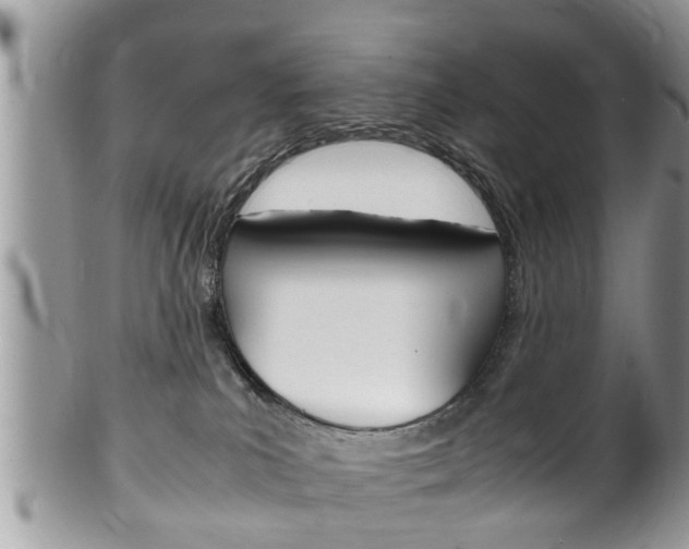 X0000100480039200806130742
