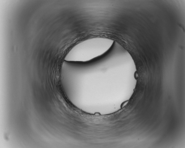 X0000100480040200806130742
