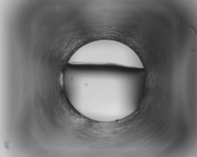 X0000100480041200806130742