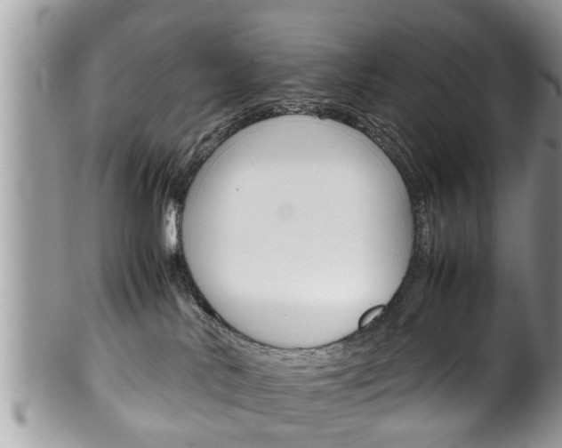 X0000100480042200806130742