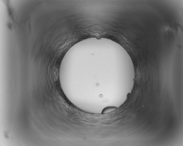 X0000100480043200806130742