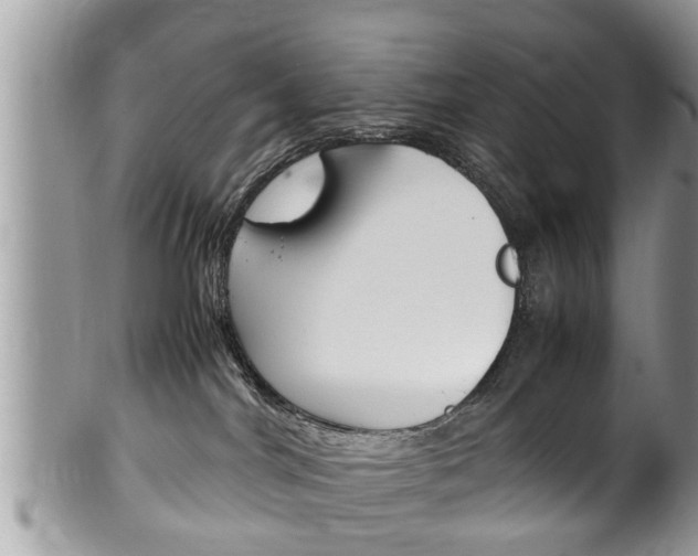 X0000100480044200806130742