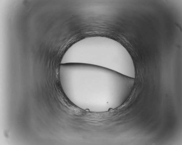 X0000100480045200806130742