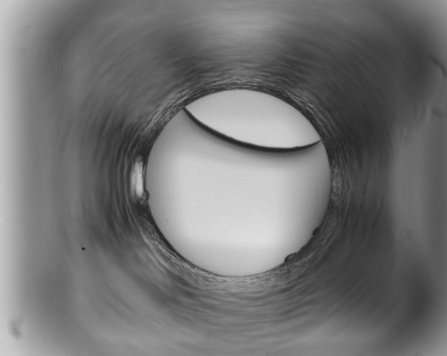 X0000100480046200806130742