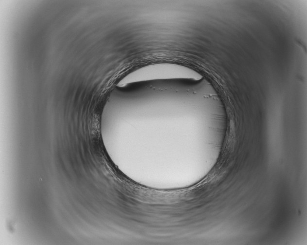 X0000100480048200806130742