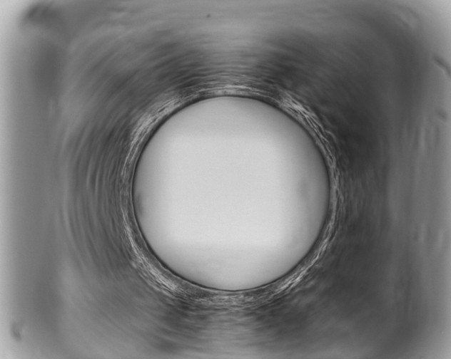 X0000100480049200806130742