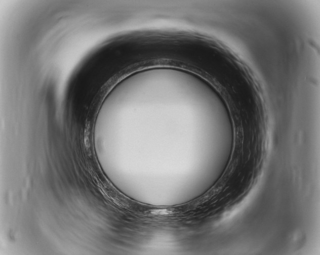 X0000100480050200806130742
