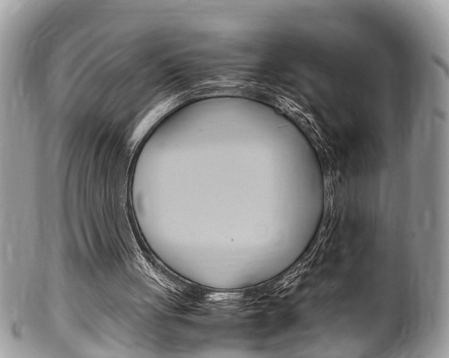 X0000100480051200806130742