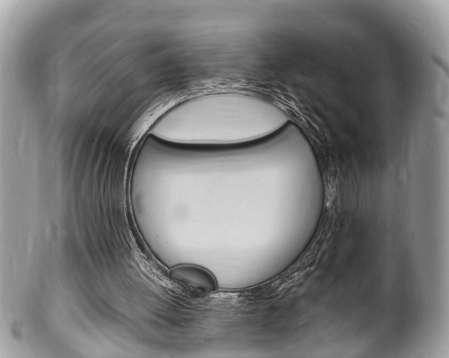 X0000100480052200806130742