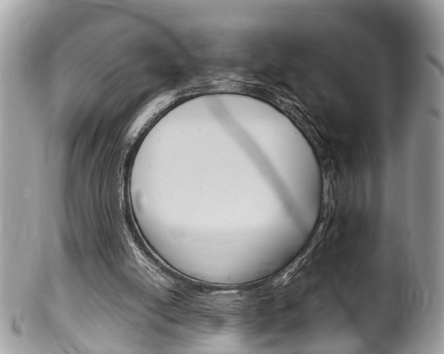 X0000100480054200806130742
