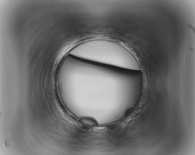X0000100480055200806130742
