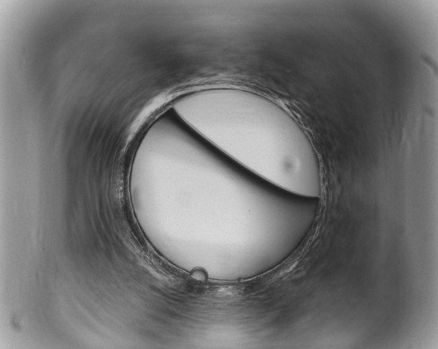 X0000100480056200806130742