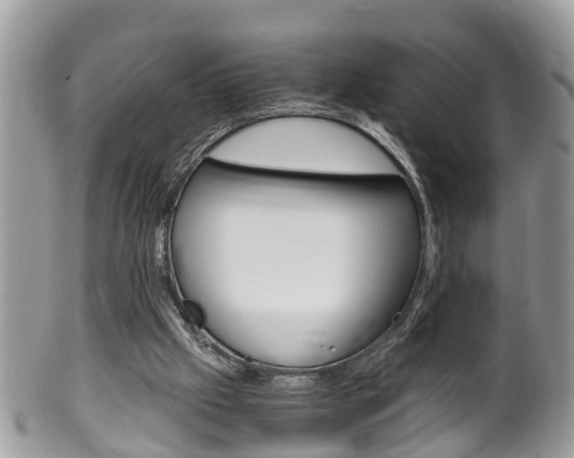 X0000100480057200806130742