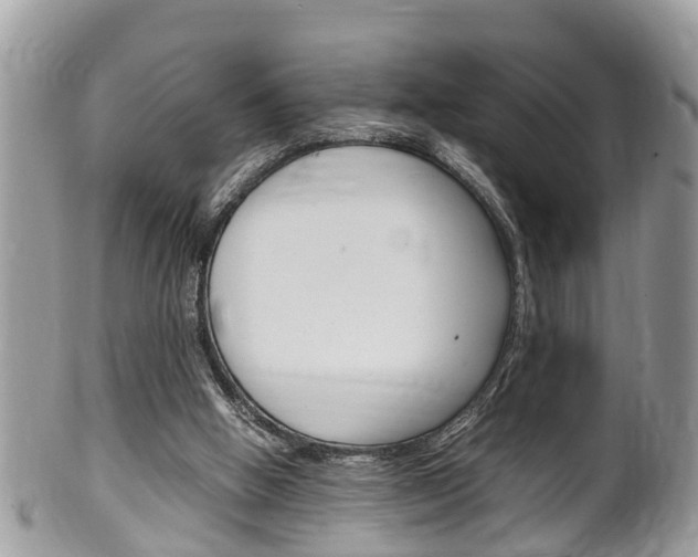 X0000100480058200806130742