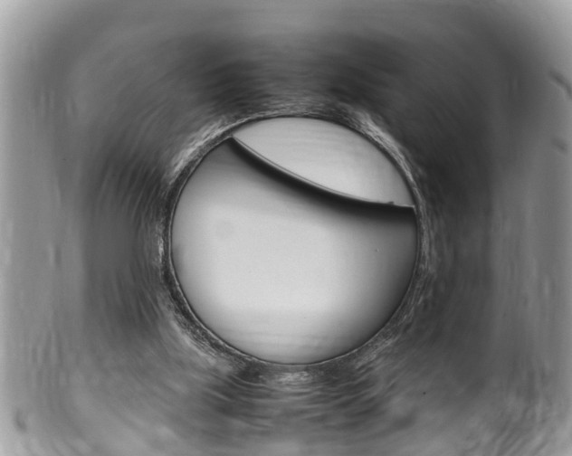X0000100480059200806130742