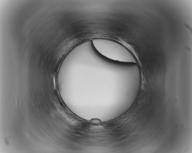 X0000100480061200806130742