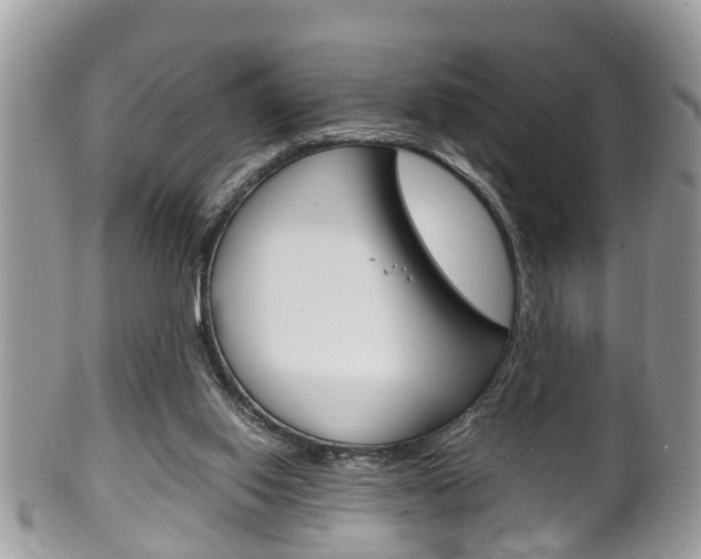 X0000100480062200806130742