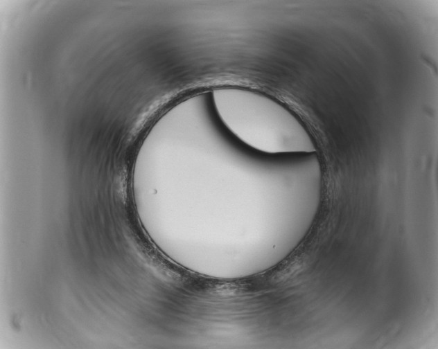 X0000100480064200806130742