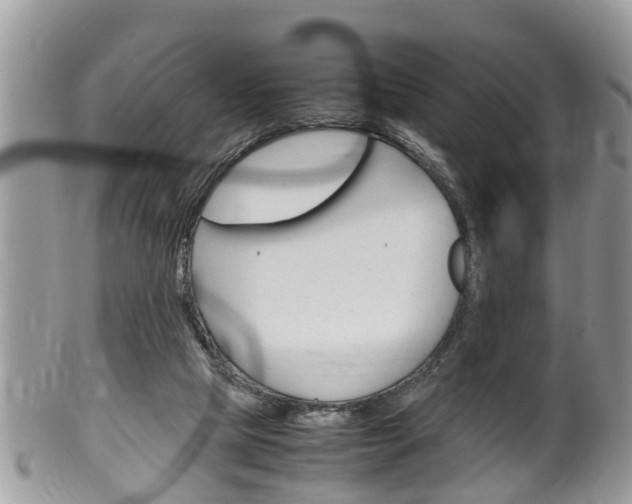 X0000100480065200806130742