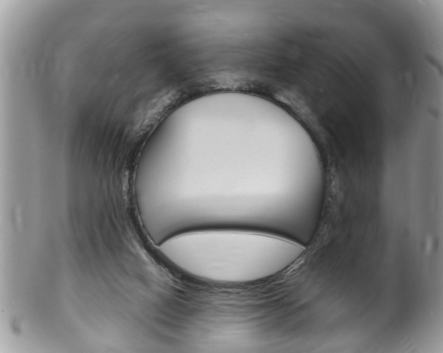 X0000100480066200806130742