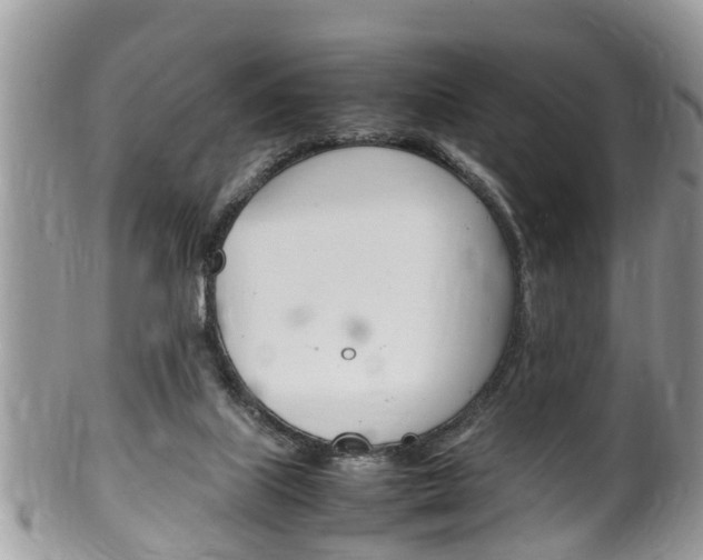 X0000100480067200806130742