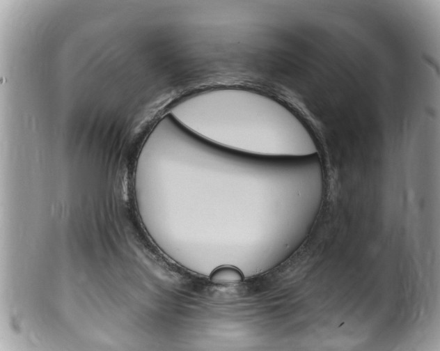 X0000100480068200806130742