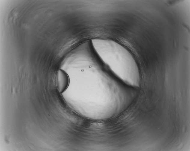 X0000100480071200806130742