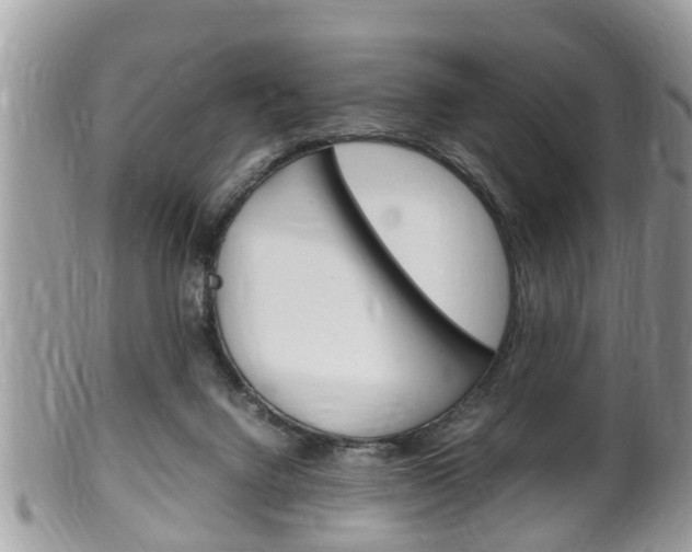 X0000100480072200806130742