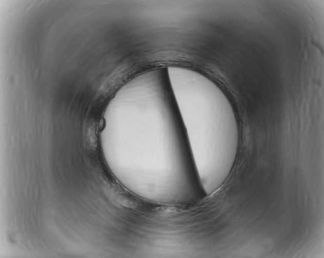 X0000100480074200806130742