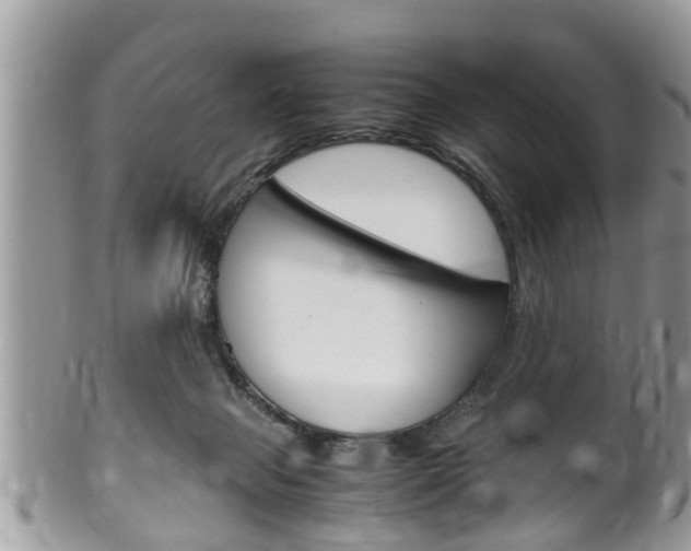 X0000100480077200806130742