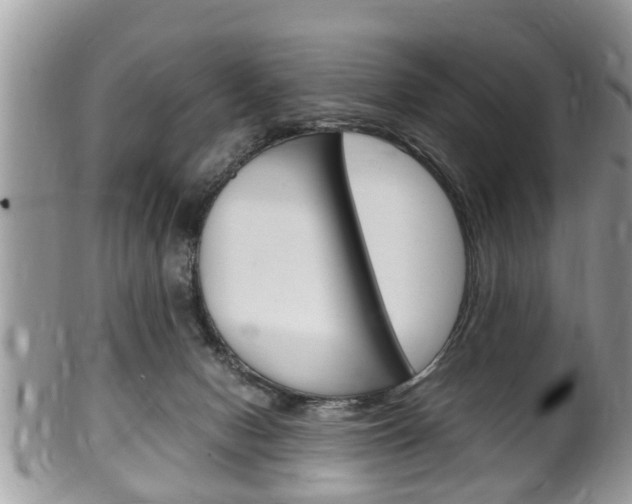 X0000100480078200806130742