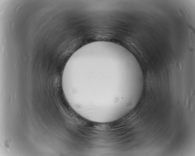 X0000100480079200806130742