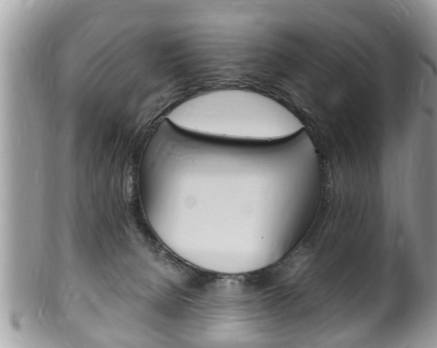 X0000100480080200806130742