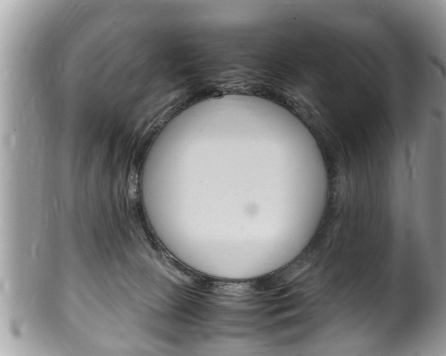 X0000100480081200806130742