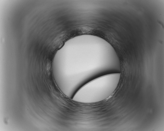 X0000100480082200806130742