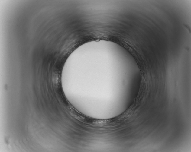 X0000100480084200806130742