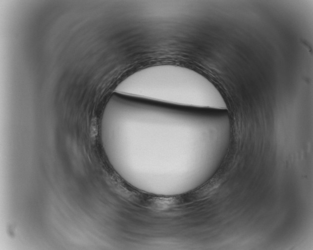 X0000100480085200806130742