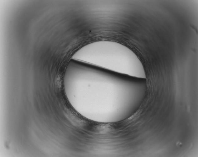 X0000100480086200806130742