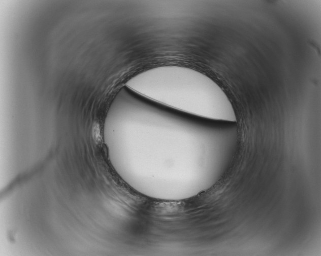 X0000100480089200806130742