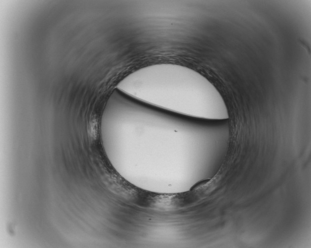 X0000100480090200806130742