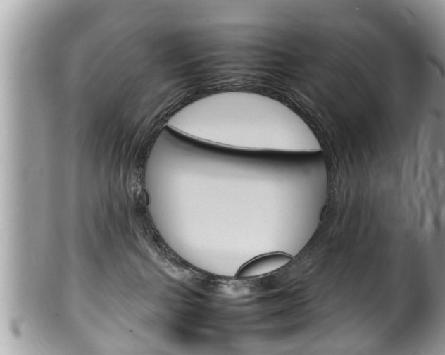X0000100480091200806130742
