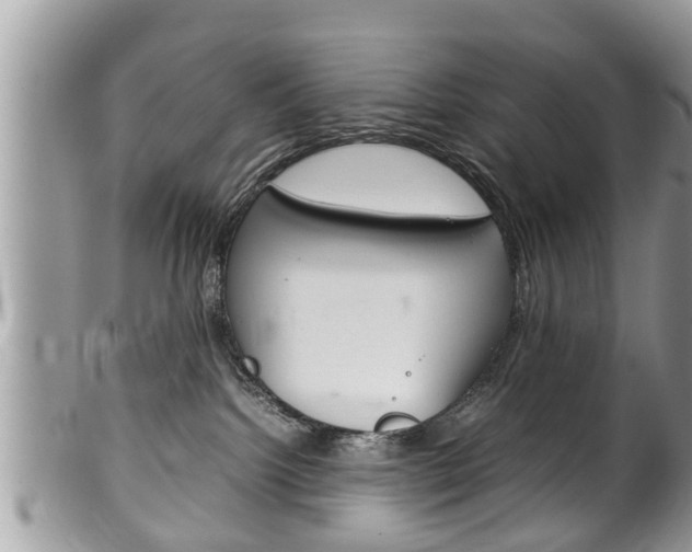 X0000100480092200806130742