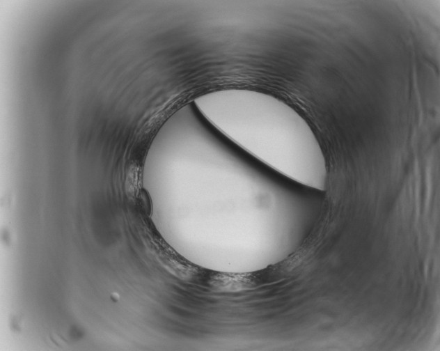 X0000100480093200806130742