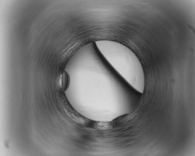 X0000100480095200806130742
