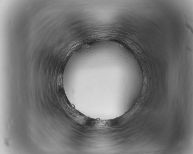X0000100480096200806130742