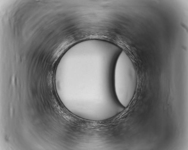 X0000100480098200806130742