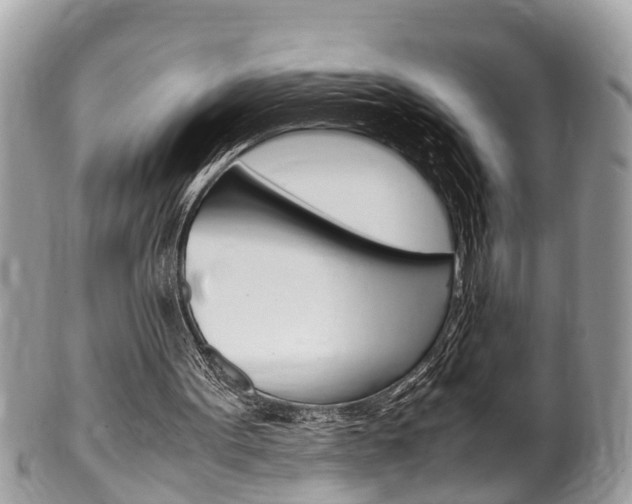 X0000100480099200806130742
