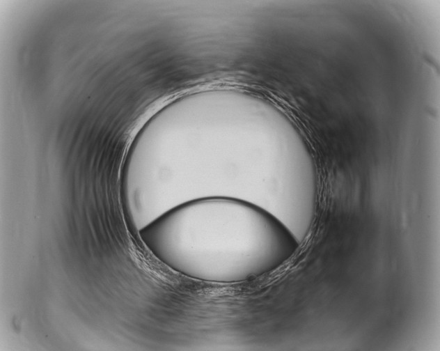 X0000100480100200806130742