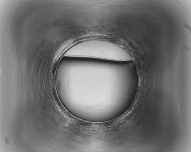 X0000100480101200806130742